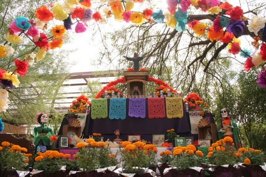 Desert Botanical Gardens  Dia De Los Muertos Celebration AZ - Photo By Tom Bidlack