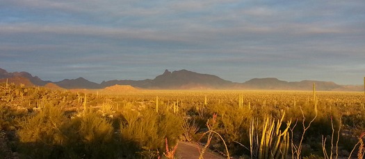 Sunset from Organ Pipe National Monument AZ - Photo By Paul Beringer