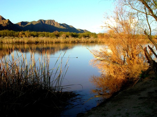 Salt River, Marcy Dupuis