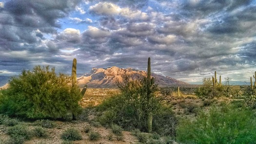 Oro Valley, AZ Catalina Mountains - Photo By Debi Hawkins