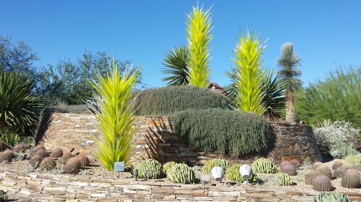 Desert Botanical Gardens - Photo By Gary Foxley