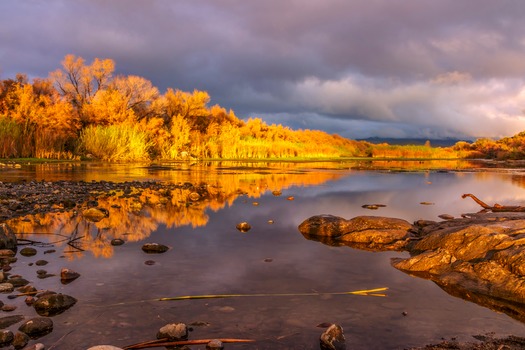 Mesa, AZ Lower Salt Lake River - Photo By Amrita Singh