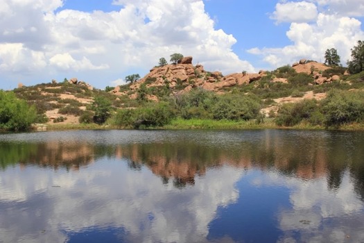 Top-of-the-world, AZ Laura Bavetz