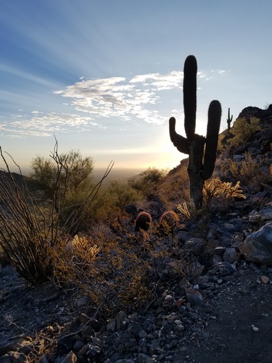 Skyline Regional Park AZ Sunrise from the top of the mountain - Photo By Nikki Madden