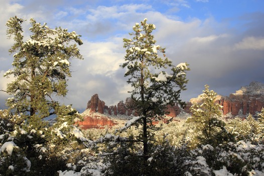 Sedona, AZ Snow on Red Rocks with Trees - Photo By Laura A Bavetz