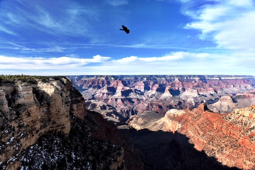 Grand Canyon South Rim AZ - Photo By Tony George