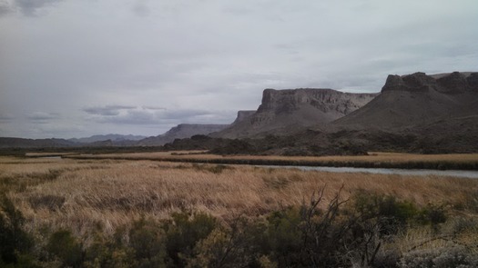 Bill Williams River National Wildlife Refuge AZ - Photo By Virginia Lattion