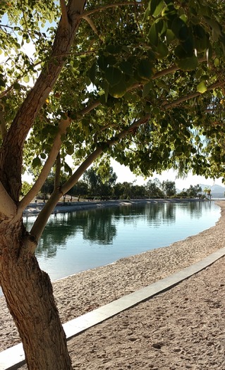 Lake Havasu City, AZ Bridgewater Channel - Photo By Danielle Acevedo