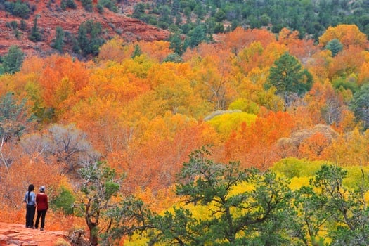 Trail from Templeton Trail to Cathedral Rock AZ - Photo By Joshua Mejia