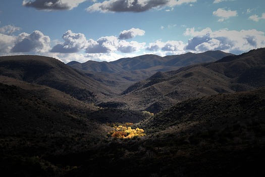 Seven Springs, AZ - Photo By Jean Beach Hermans