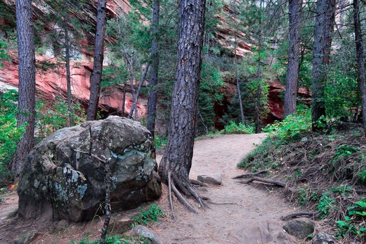 West Fork Trail, Jennifer Vandergoot