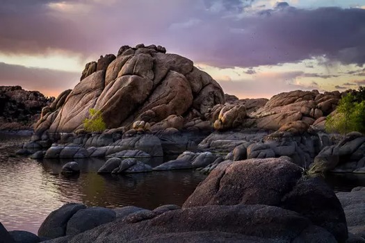 Prescott, AZ Robert Minkler