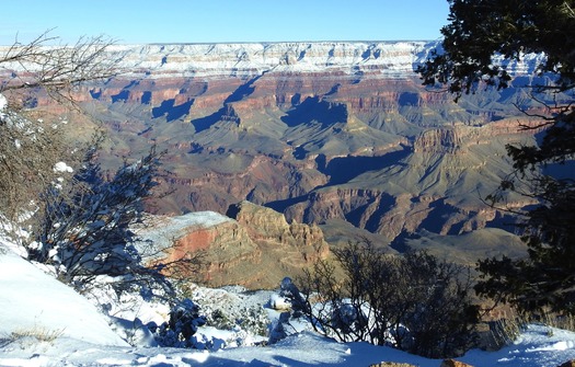 Grand Canyon Snow on the North Rim AZ - Photo By c