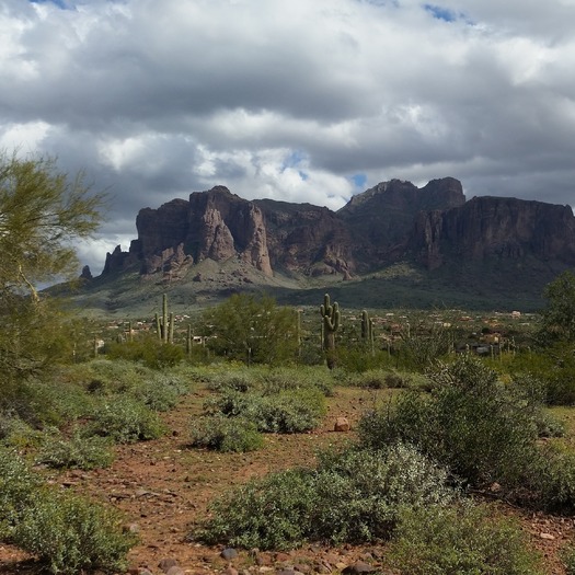 Apache Junction, AZ Kimberly D. Hiller