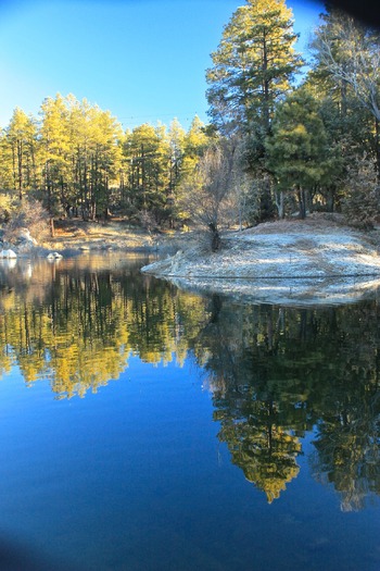 Prescott, AZ Catherine Koon