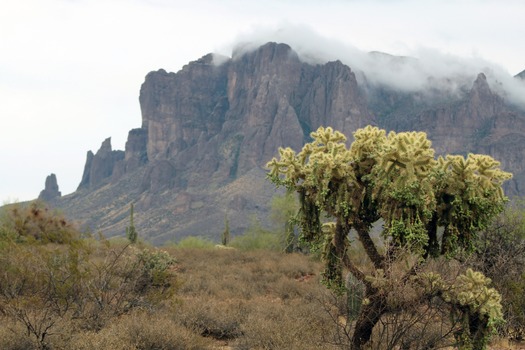 Apache Junction, AZ Lesa Black