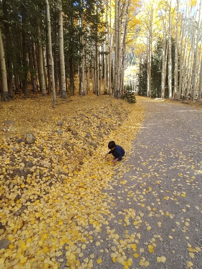 Inner Basin Trail, AZ H. Navarro4