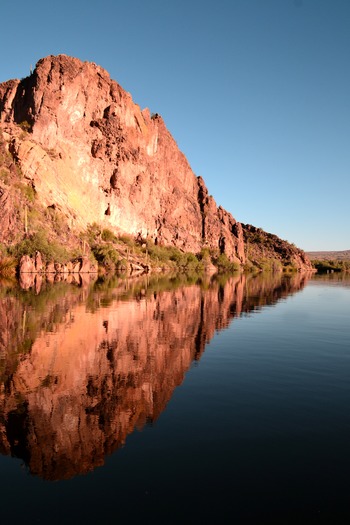 Saguaro Lake, AZ Karmela Brower