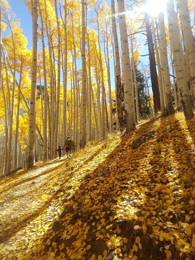 Inner Basin Trail, AZ H. Navarro