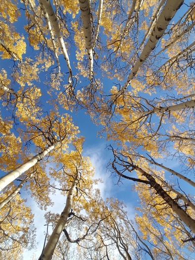 Inner Basin Trail, H. Navarro