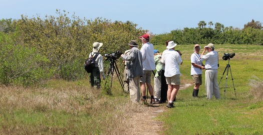 Bird watching group 3