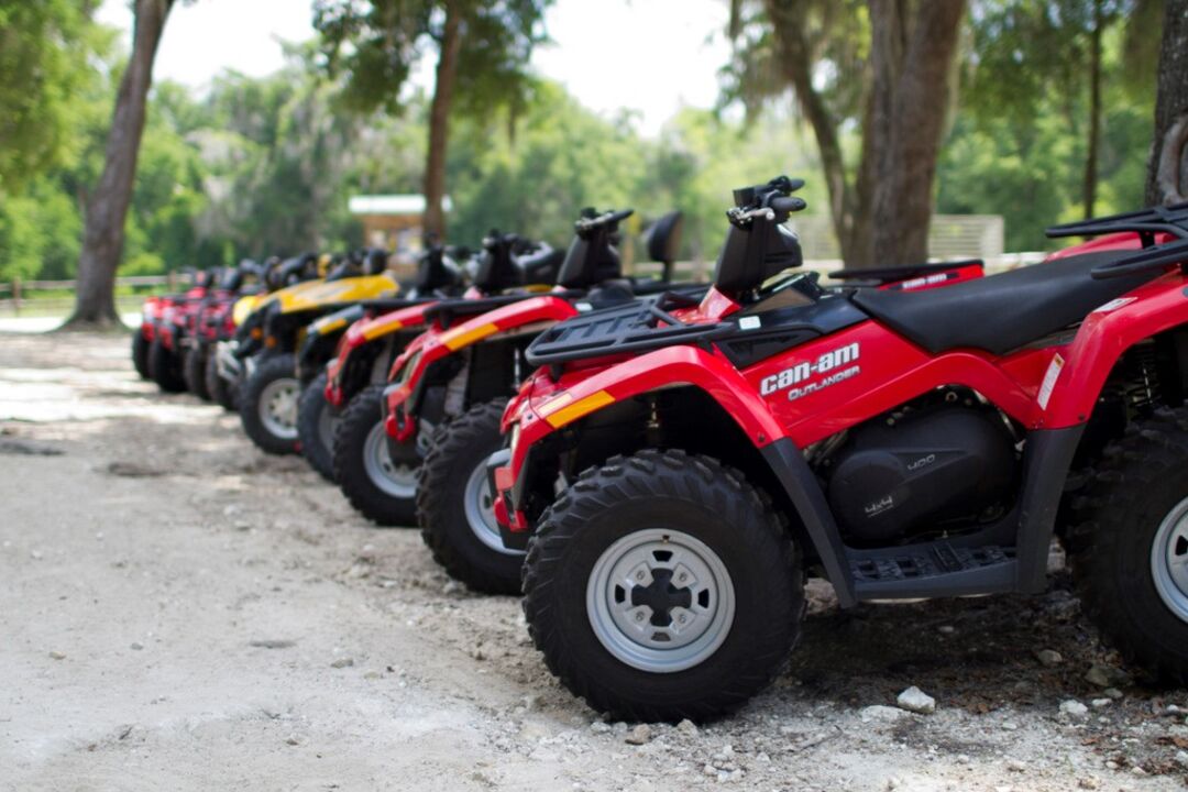 ATVs shiny waiting