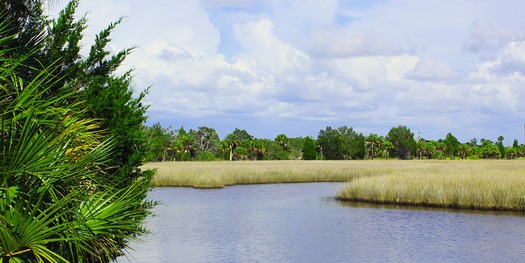 Saltmarsh