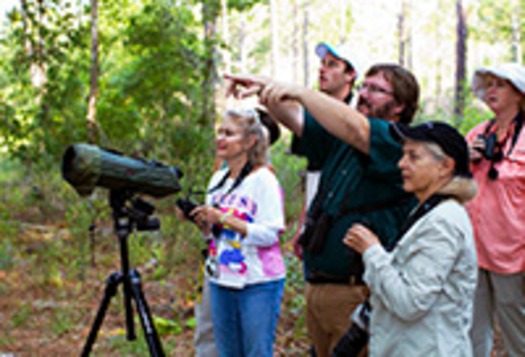 Birdwatchers