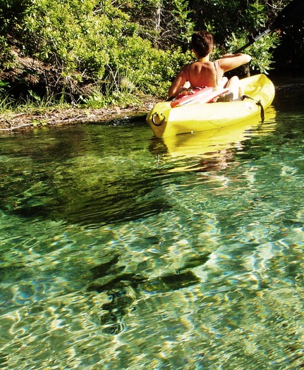 Kayaker on WW close