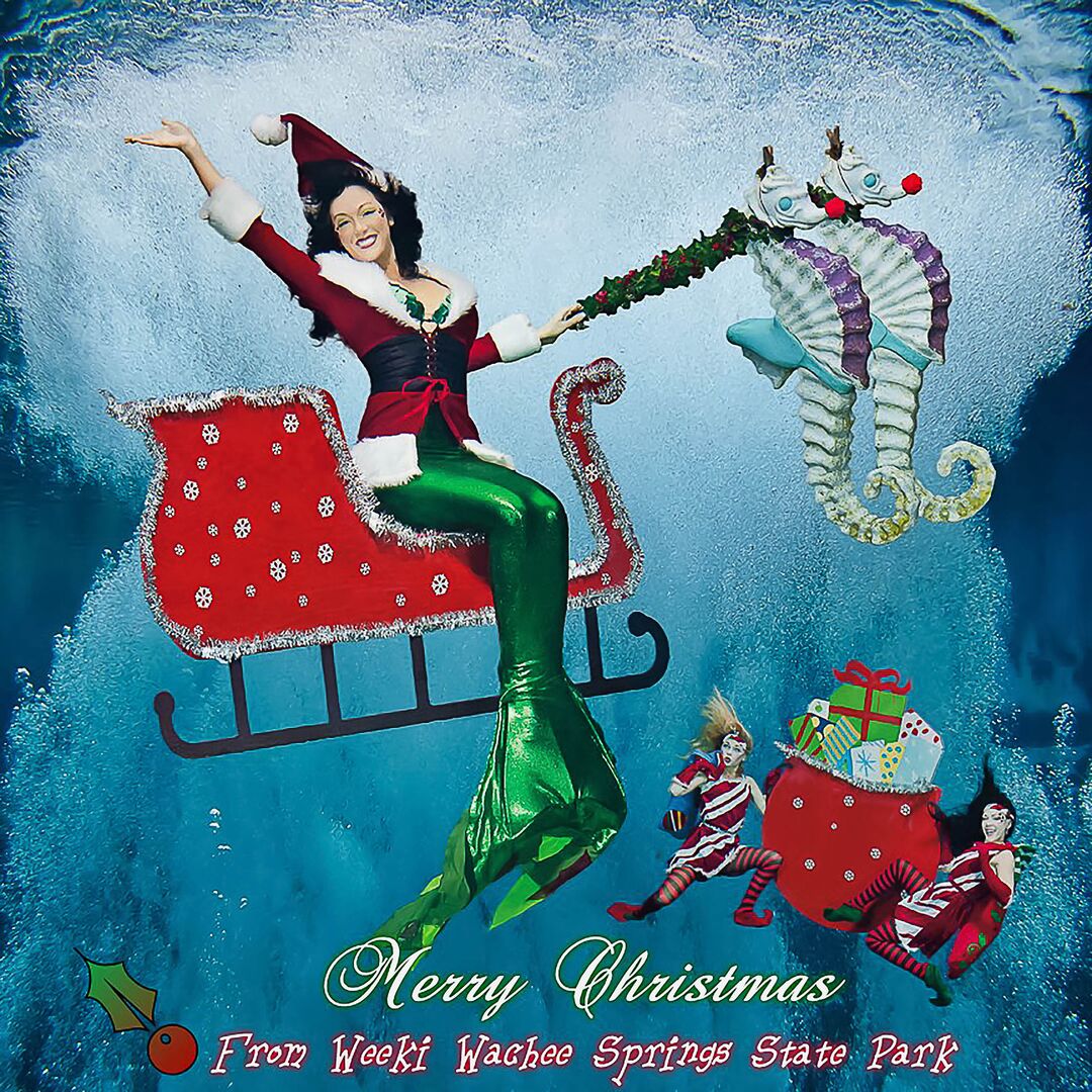 Mermaid Christmas Greeting FB cc