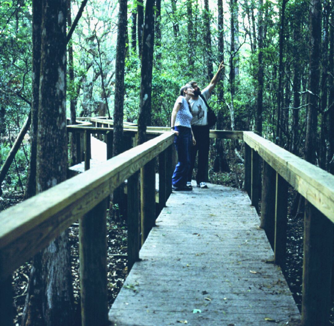 Chinsegut Boardwalk sq