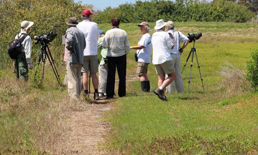 Bird watching group 1