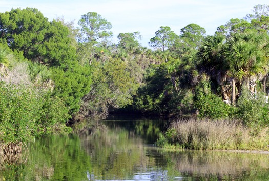 Bayport Paddling Exit