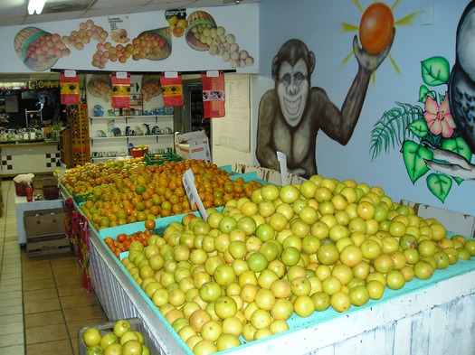 Boyett's citrus harvest