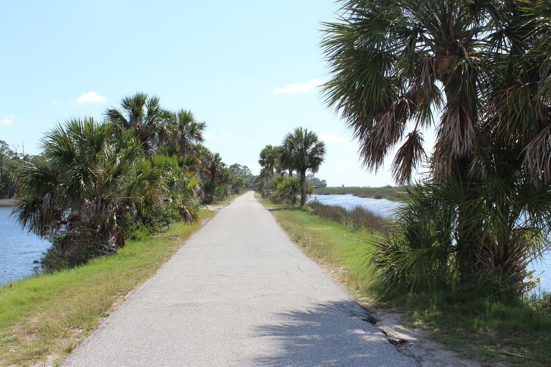 Coastal Scene, Bayou Drive