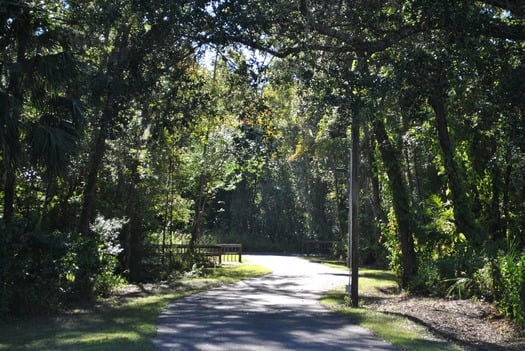 Good Neighbor Trail Curve