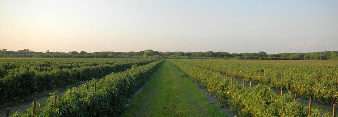 Hunsader Farms