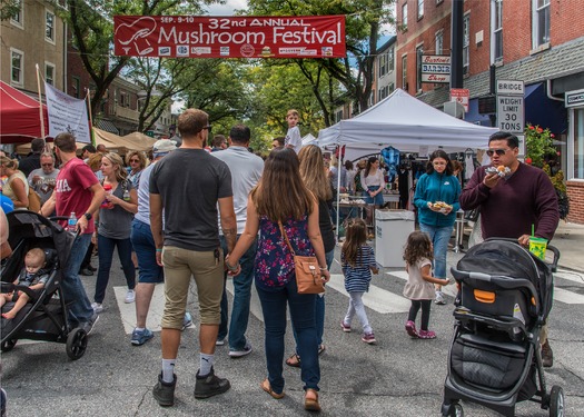 Mushroom Festival