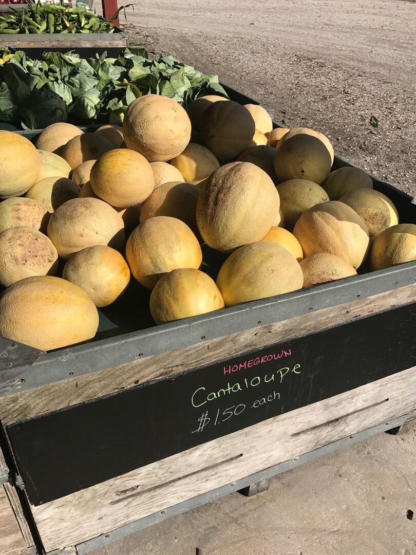 Hunsader Farms