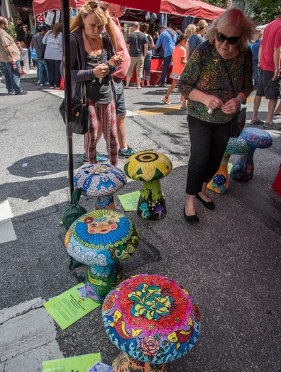 Mushroom Festival