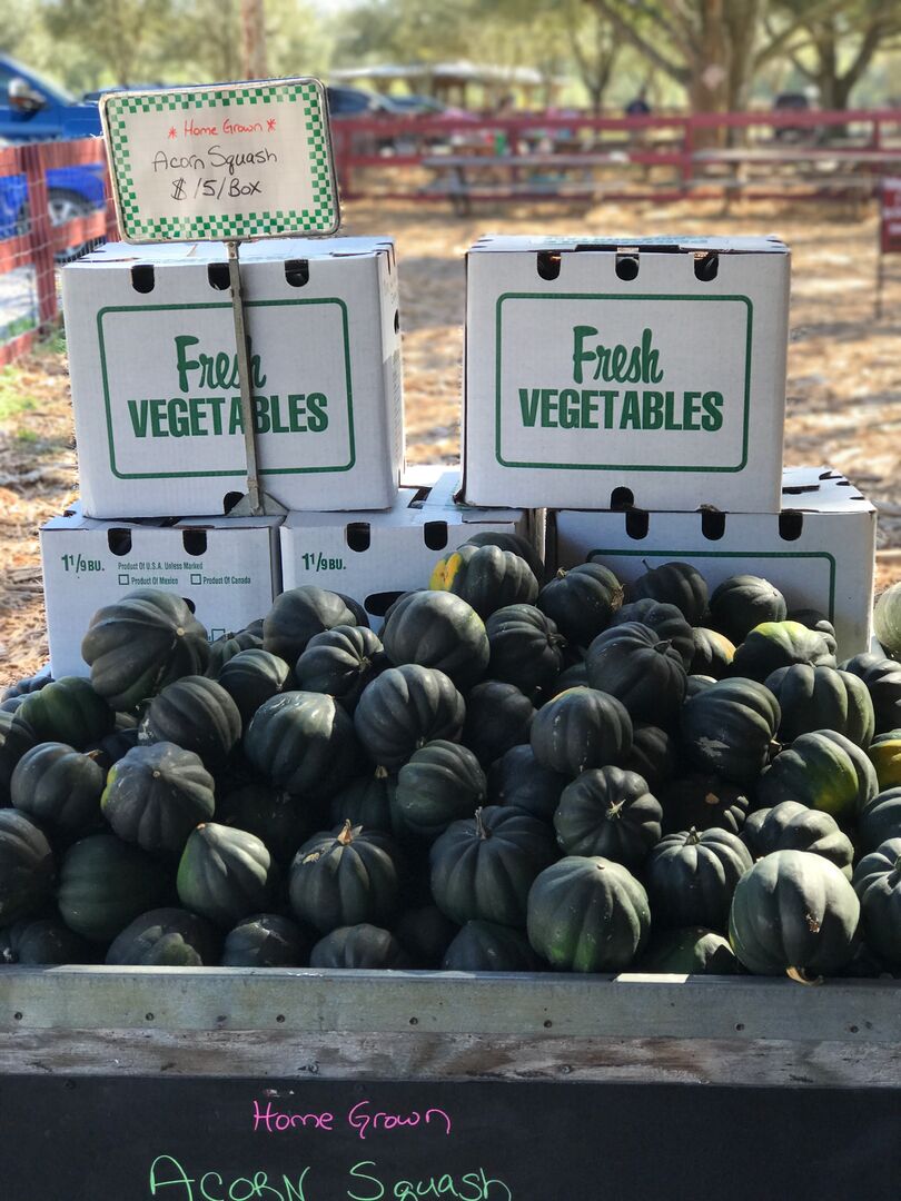Hunsader Farms