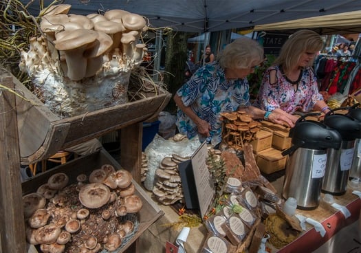 Mushroom Festival