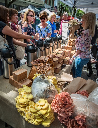Mushroom Festival