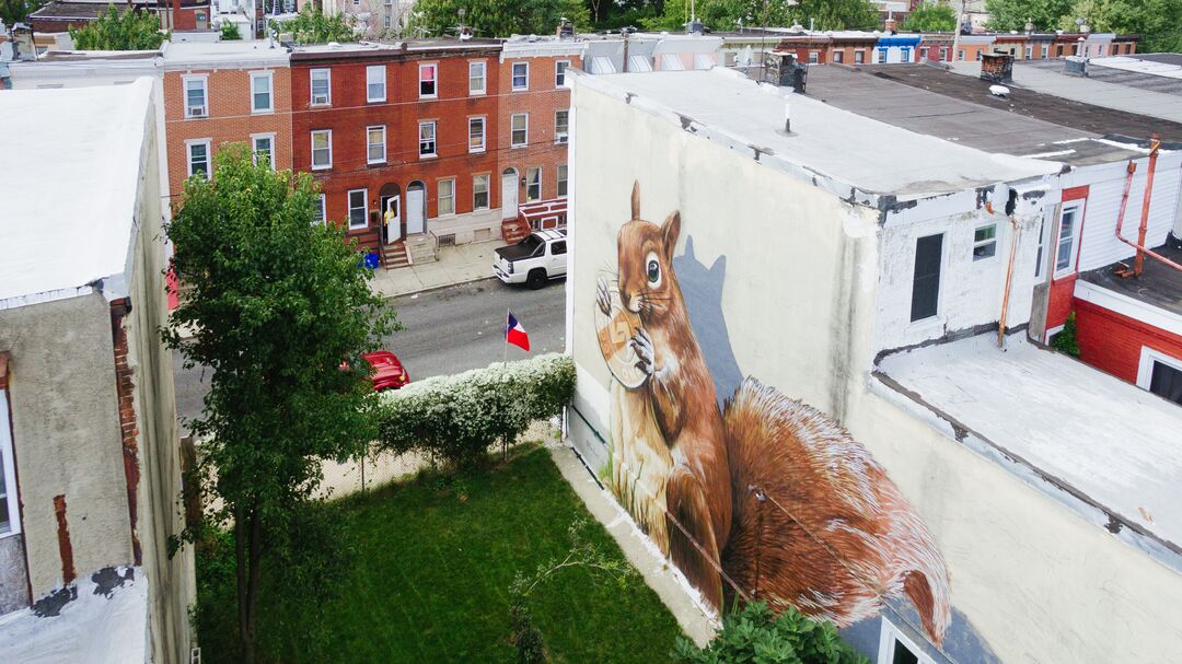 “Token Squirrel,” Visual Urban Renewal and Transformation