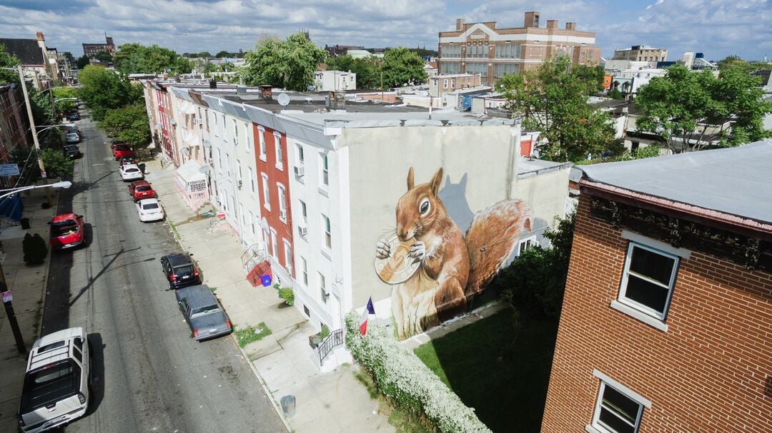 “Token Squirrel,” Visual Urban Renewal and Transformation