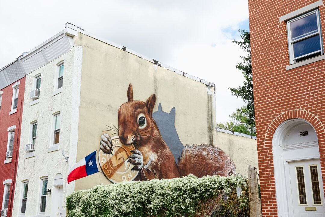 “Token Squirrel,” Visual Urban Renewal and Transformation