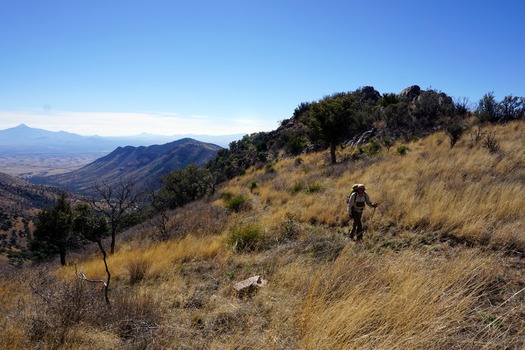 Huachuca Mountains