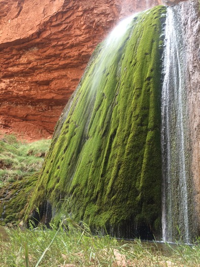 Ribbon Falls, Grand Canyon