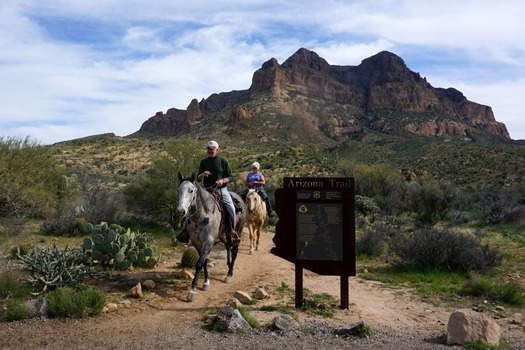 Equestrian at Picketpost Trailhead