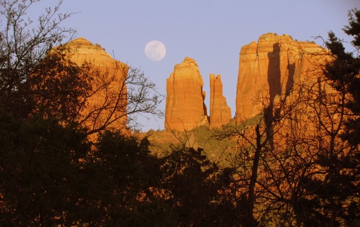 Sedona, Amelie Genois